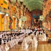 Cao Dai Temple – Cu Chi Tunnels
